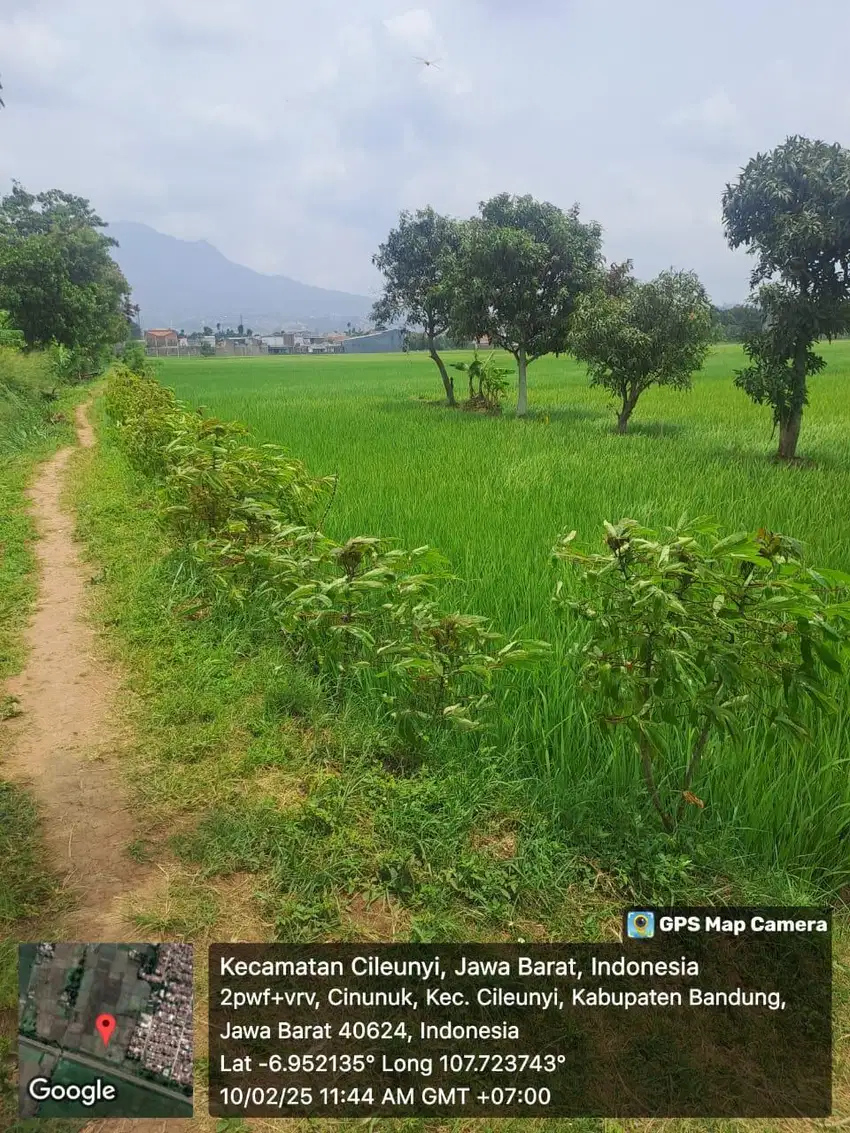 DIJUAL TANAH SAWAH CILEUNYI (1.388m2)