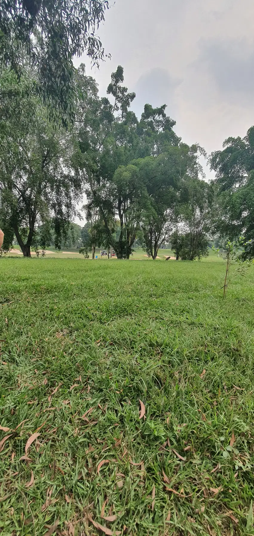 Jual Kavling Karawang Bukit Golf Sedana KIIC Palm Spring Karawang Brt