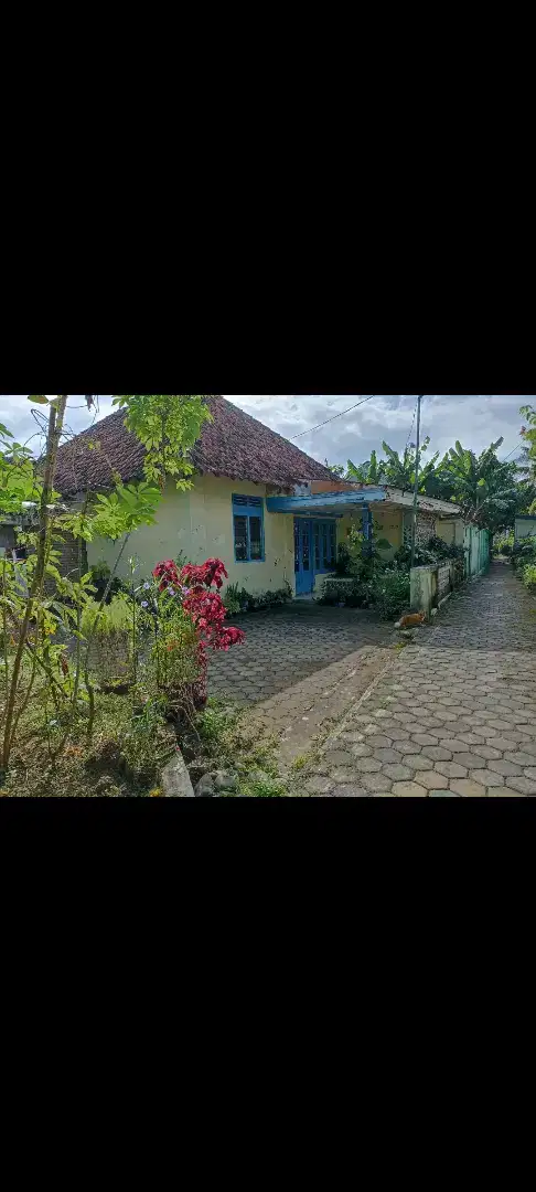 Jual tanah di purworejo 600 rb/m2
