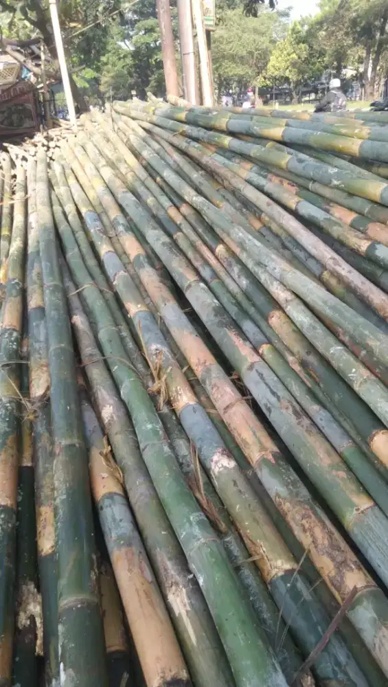 Jual bambu kayu kaso2 papan untuk berbagai keperluan diantar