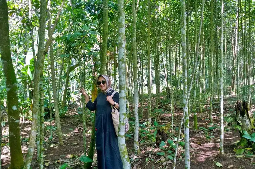 Tanah Kebun Manglit Desa Linggamulya Kabupaten Tasikmalaya