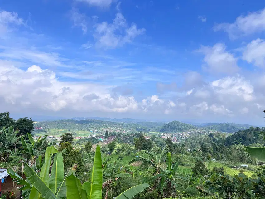 Tanah 4600m2 Dekat Wisata Candi Sukuh, Jembatan Kaca Kemuning