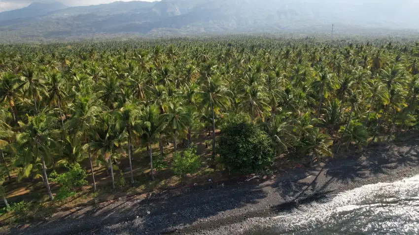 Leasehold - Exclusive Beachfront Land in Tejakula, Buleleng