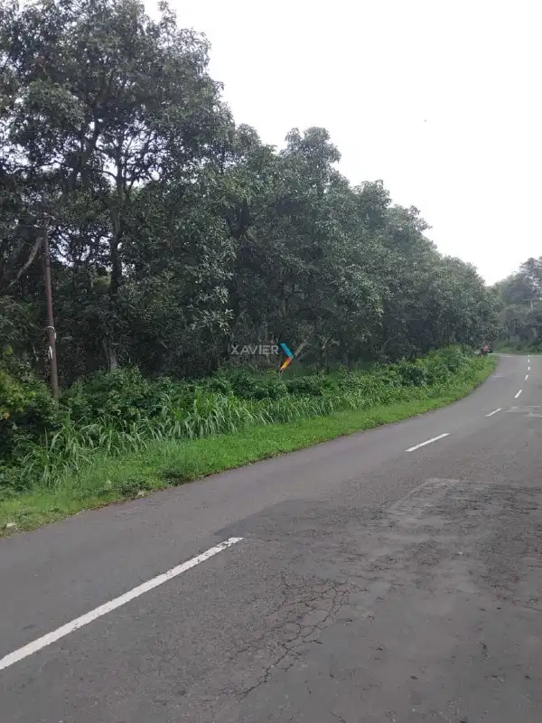 Dijual Tanah di Poros Jl. Raya Ngembal, Tutur Nongkojajar, Pasuruan