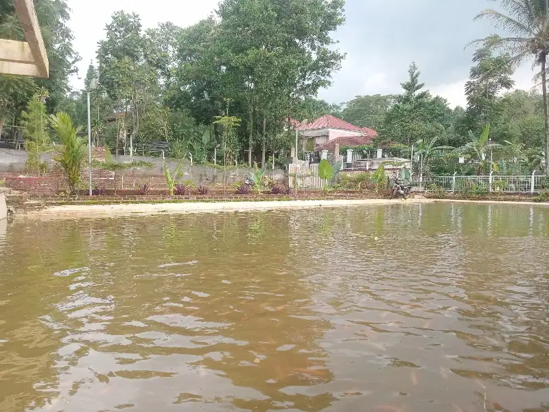 VILLA DI KAWASAN WISATA BISA DISEWAKAN UNTUK BANYAK ACARA