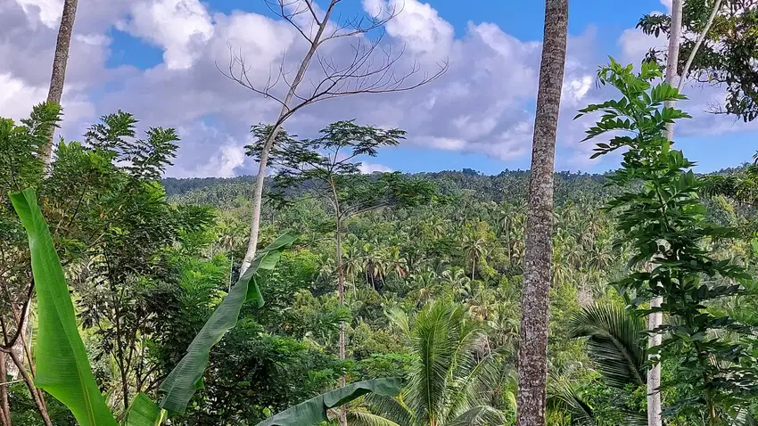 5.850 Sqm of Freehold Land for Sale with Beautiful Mountain View
