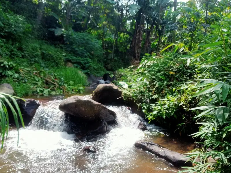 Tanah kebun pinggir sungai pinggir jalan desa masuk mobil 