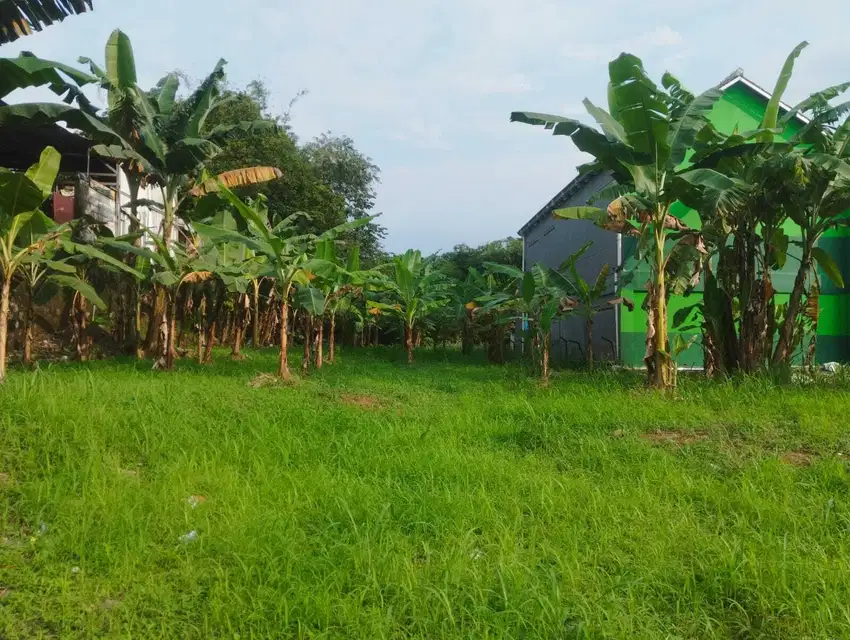 Tanah Kavling Termurah Di Bogor Cimahpar Legalitas Lengkap