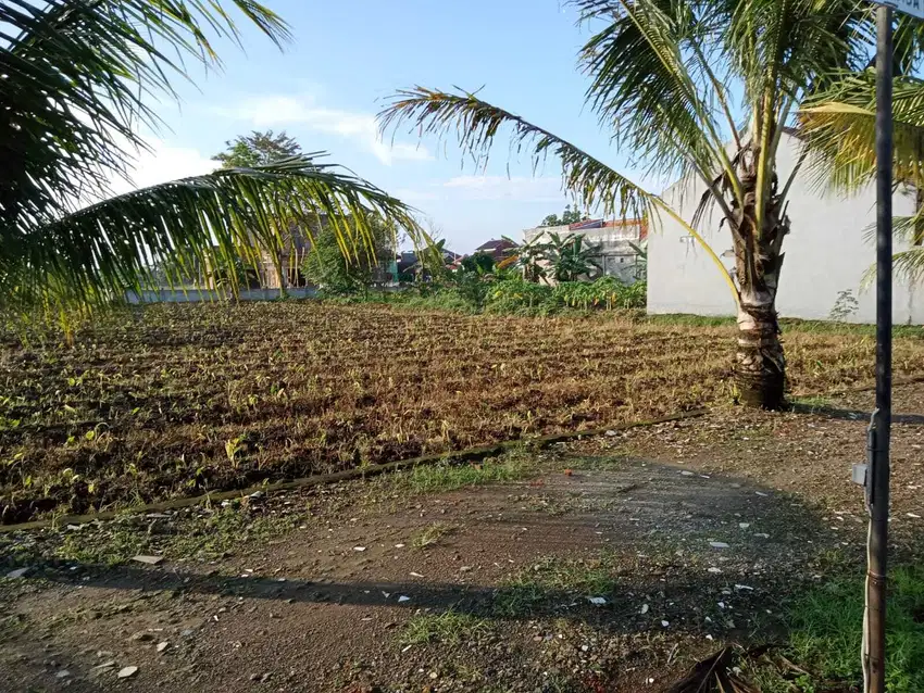Tanah Kavling Siap Bangun 158m dekat Tol Yasmin- Bogor  Tersisa 1 unit