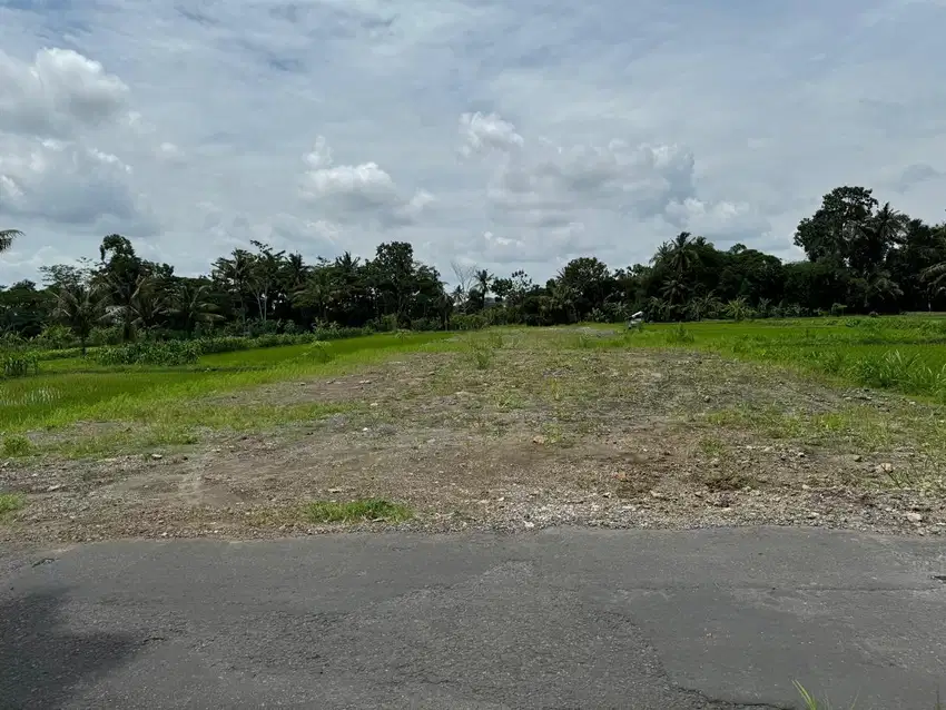 Tanah Murah Belakang Kampus UII Jogja, Lingkungan Asri
