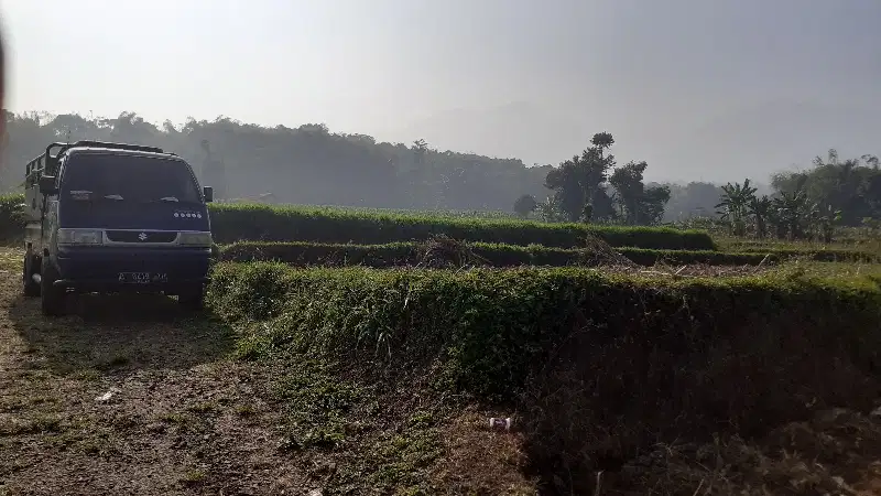 Tanah kebun SHM murah pinggir jalan jauh dari pemukiman