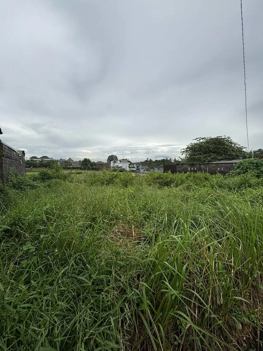Dijual tanah lodtunduh ubud