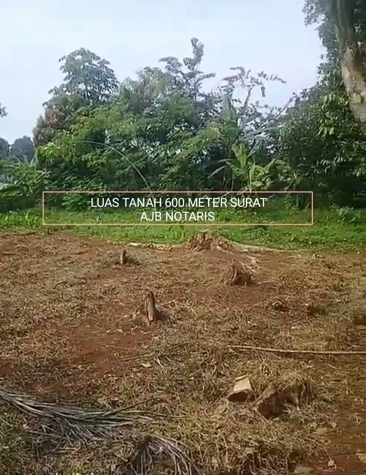 TANAH MURAH TANAH DARAT DI JL RAYA BOGOR KEMANG PARUNG KABUPATEN BOGOR