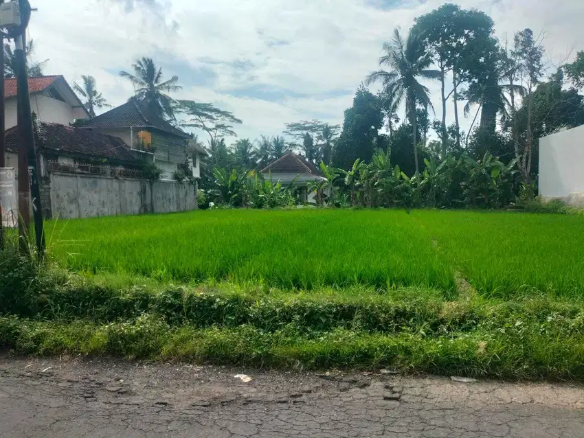 Dijual tanah Lokasi di jalan Tirta tawar,junjungan ,Ubud