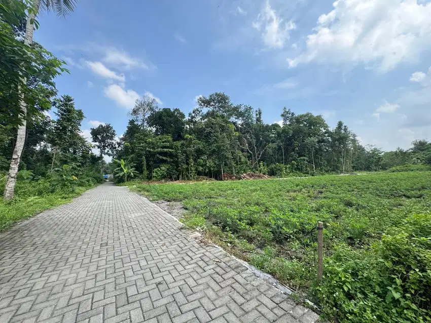 Tanah Jogja Utara, Lingkungan Kos Premium