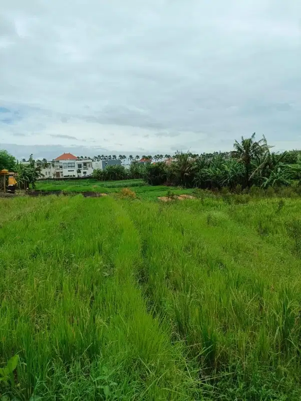 Tanah Tumbak Bayuh Pererenan Mengwi Badung