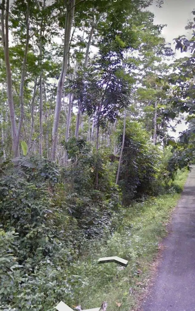 DisewakanTanah Lokasi Strategis cck untuk Villa dan Hotel di Jembrana.