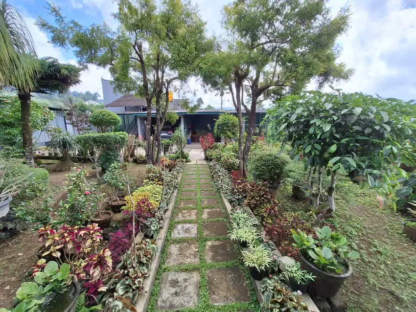 Dijual TANAH & Bangunan VIEW INDAH BATURITI BEDUGUL BALI