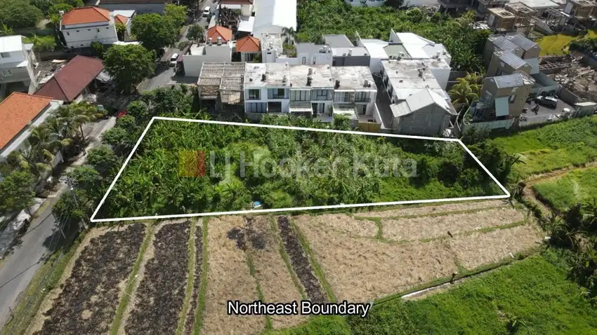 Hot Sale Tanah Jual Di Jalan Tumbakbayuh, Canggu