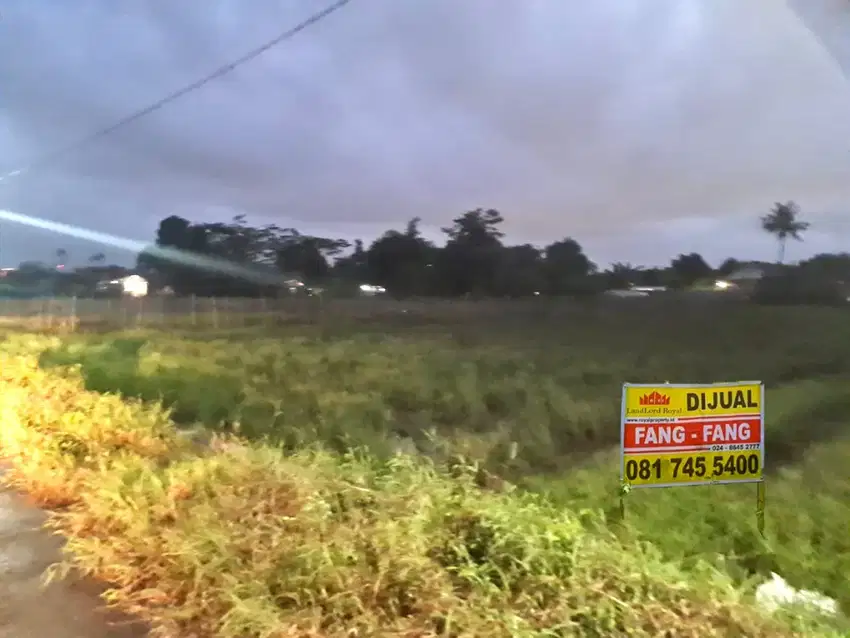 Dijual Tanah Randusari - Pekalongan