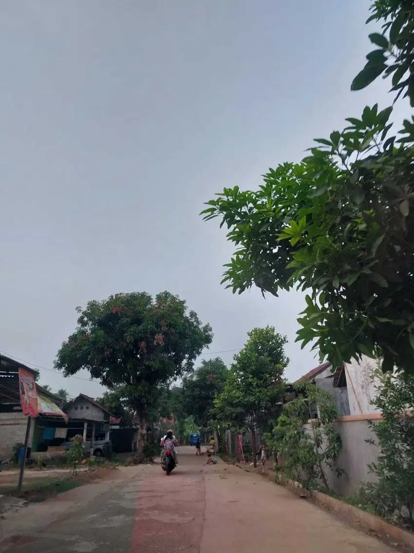 Dijual Kavling Standar Perumahan Area Cileungsi - Cipeucang, Dapat SHM