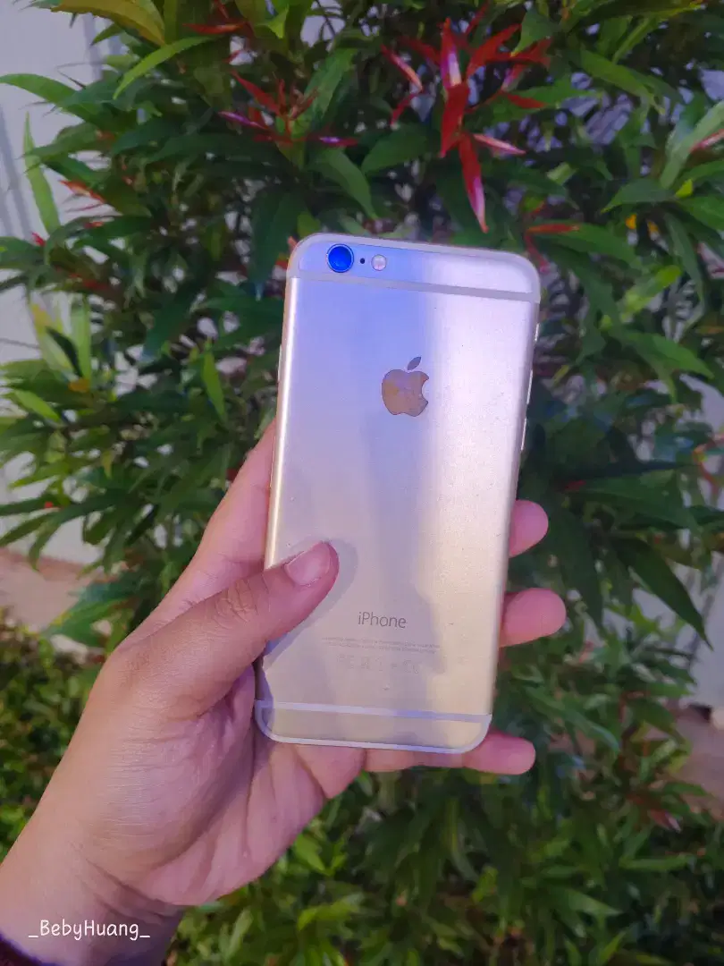 iPhone 6 inter 64GB
