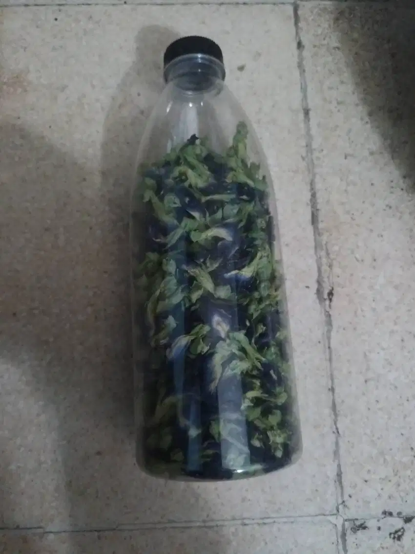 Teh bunga telang dried