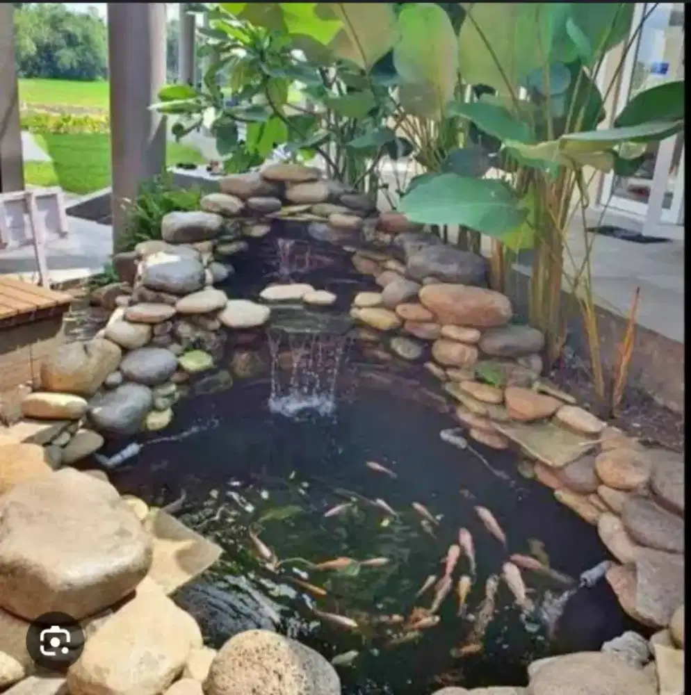 Kolam ikan koi batu alami
