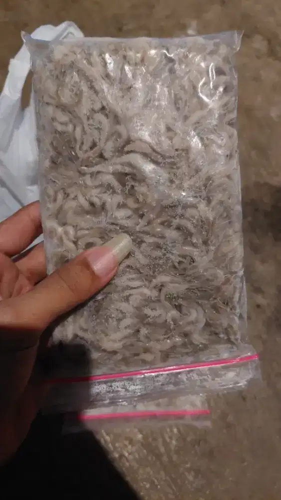 Udang beku buat pakan ikan predator oscar arwana channa p bass louhan