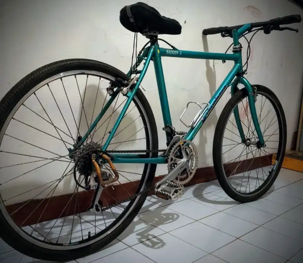 Kuwahara badger 3 / limited