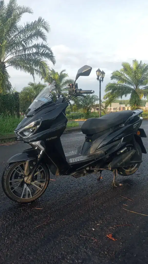 Polytron fox R tahun 2024