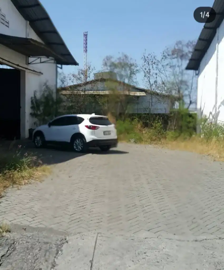 Tambak Langon. Deket pelabuhan. Margomulyo notok kiri