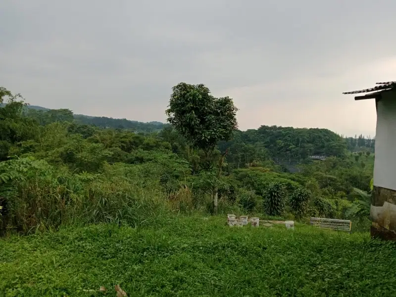 Lahan Kebun Cocok Untuk Villa View Gunung Salak