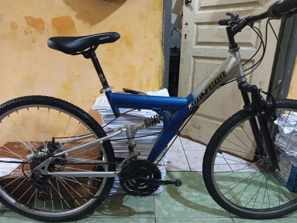 Mtb vintage Polygon 26