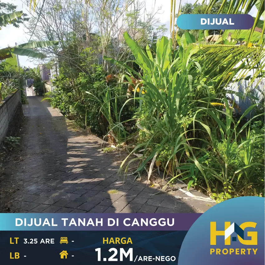 DIJUAL TANAH DI CANGGU