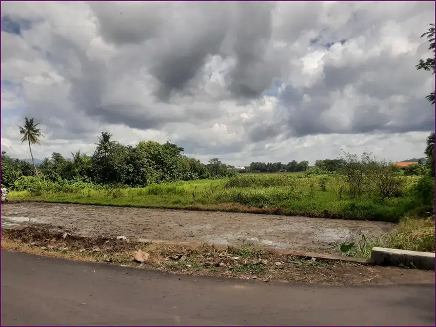 Tanah kavling godean Sleman Legalitas SHM