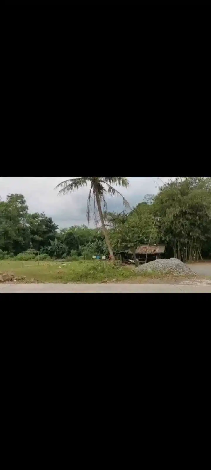 S M Property Dijual Tanah Parung Panjang Bogor Jawa Barat