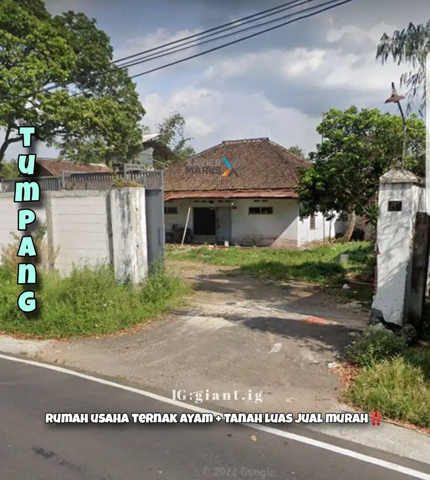 Tanah bonus rumah ternak ayam petelur di raya Bokor Tumpang Malang