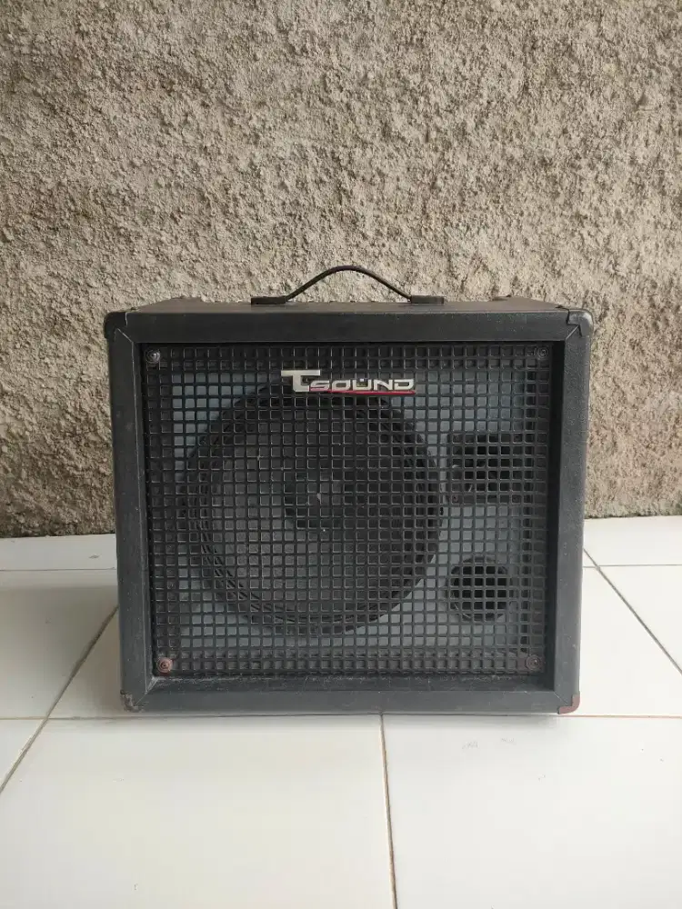 Ampli Keyboard/Bass/Drum Elektrik Tsound TS-100K