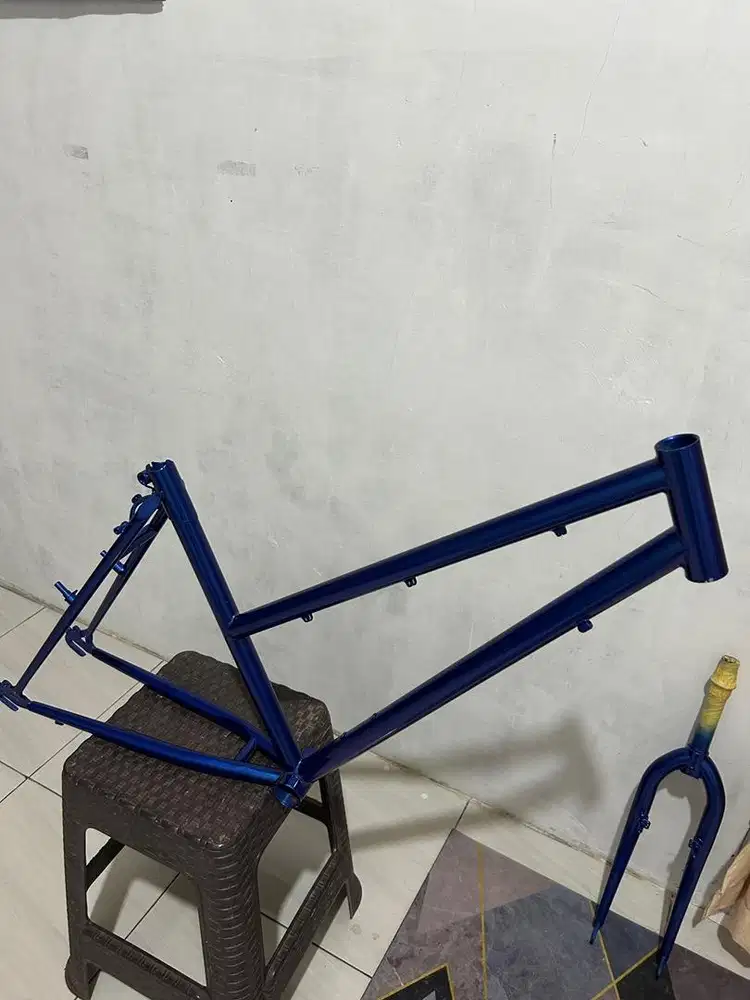 Frame federal ladycat