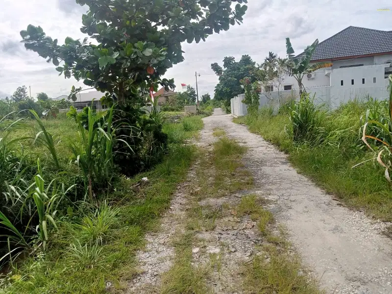 Tanah jalan Daru daru 7, tenayan raya kota Pekanbaru