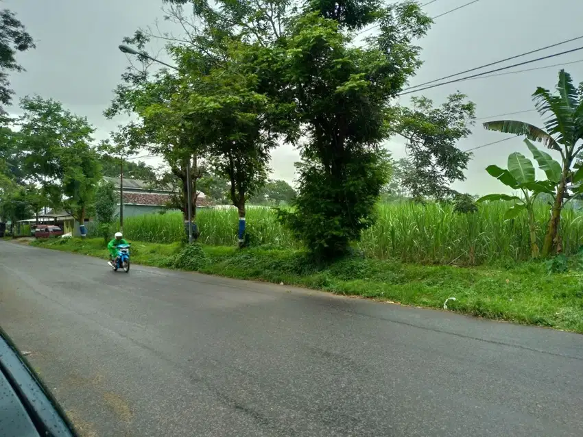 TANAH KEMANTREN MALANG 87860 ASSET BANK, CASH ONLY