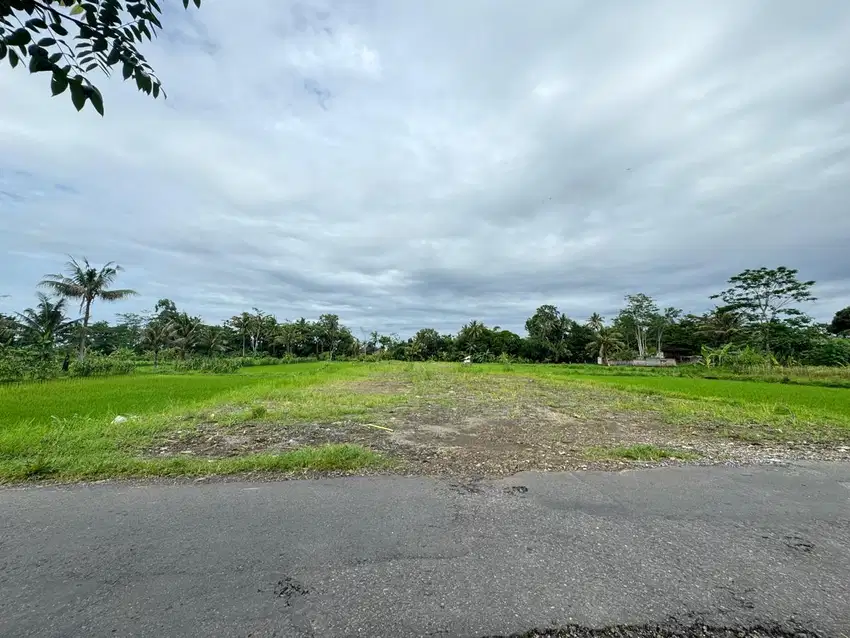 Tanah SHM P Kaliurang Jogja, Harga Murah View Sawah