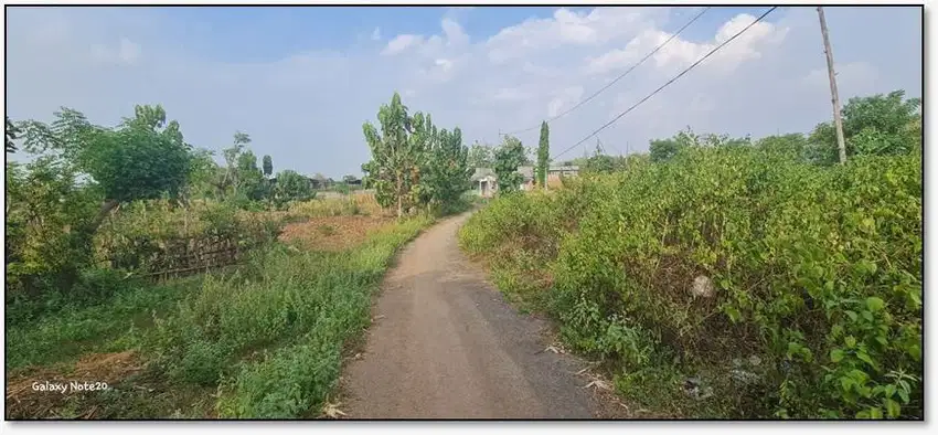 TANAH PONGPONGAN TUBAN 67679 ASSET BANK, CASH ONLY