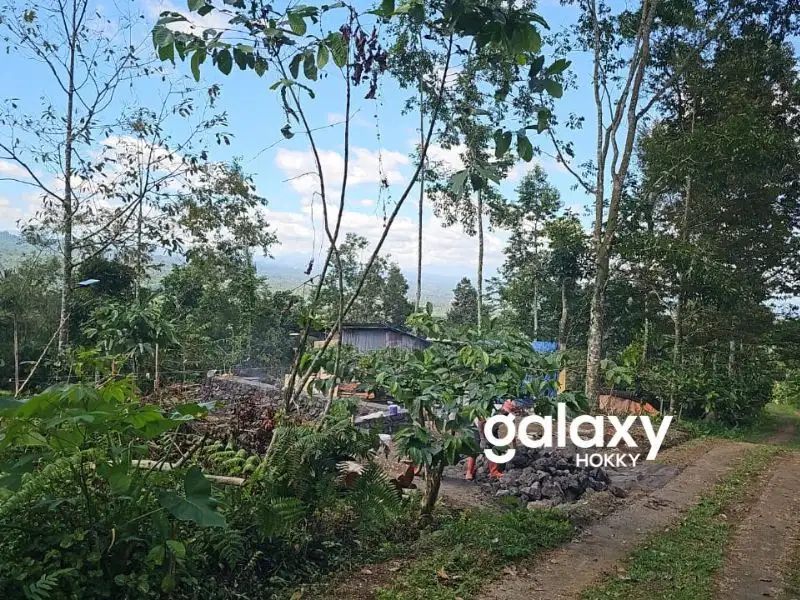 TANAH KEBUN + JOGLO DI JATILUWIH TABANAN, BALI