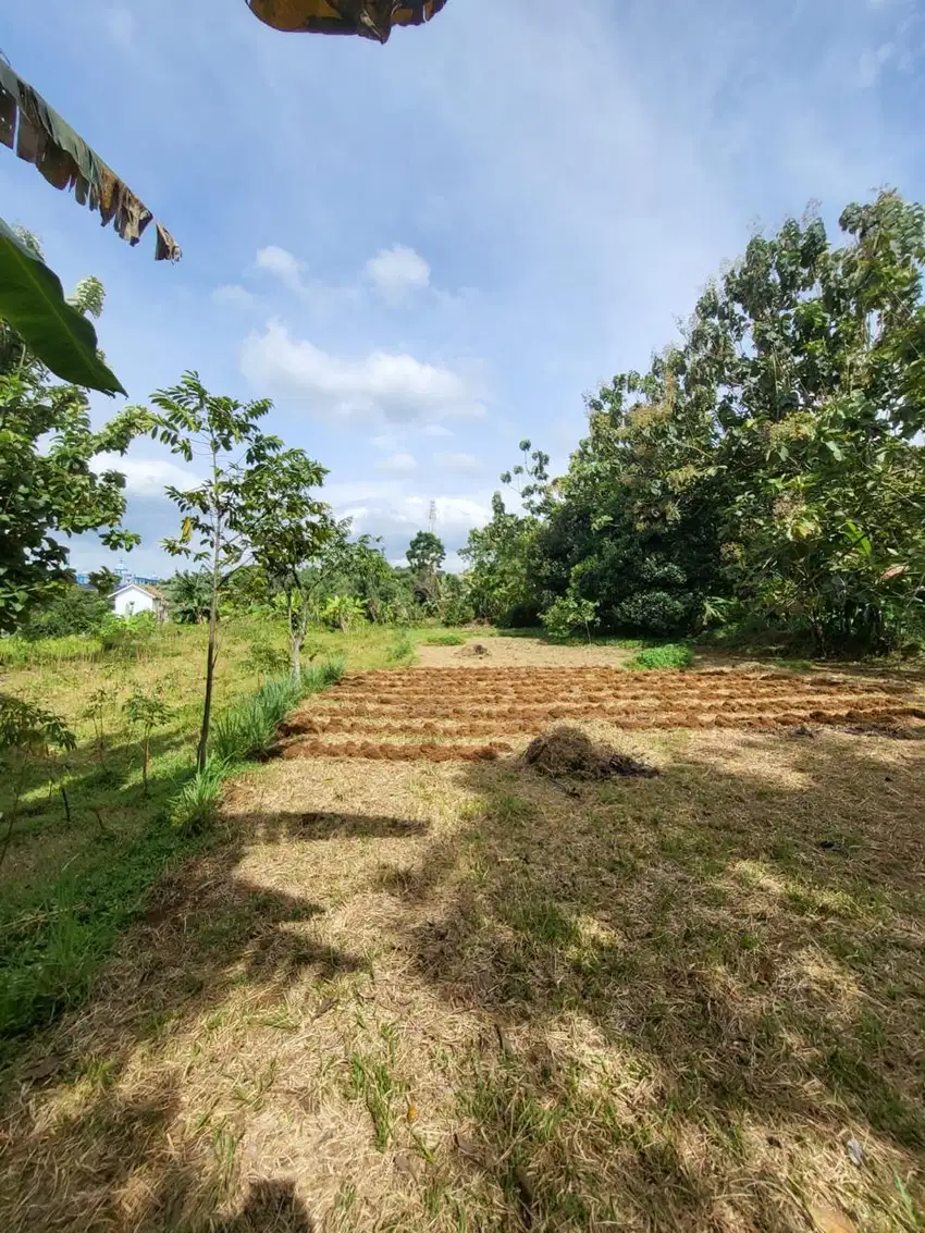 Jual tanah di Rancamaya kota Bogor Jawa Barat