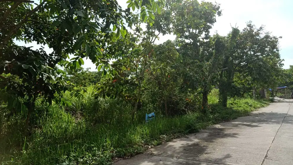 DiJual Cepat Tanah Strategis Di Cluster Simpruk Lippo Cikarang