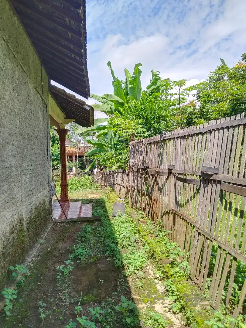 Tanah Tegal pekarangan