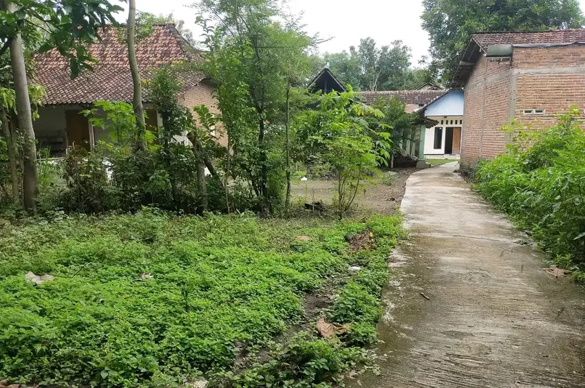 TANAH MURAH PUCANGANOM KEBONSARI MADIUN