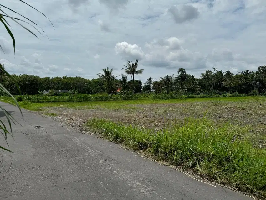 Jual Murah Tanah Dekat Kampus UII Jogja, SHM P